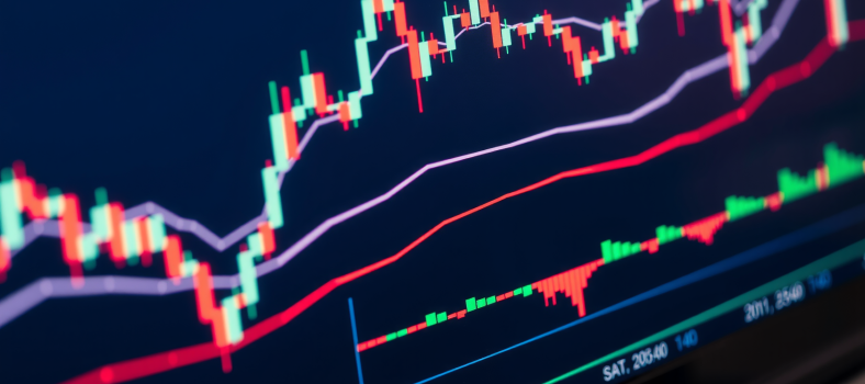 Makroaufnahme von Finanzgrafiken auf Computermonitor