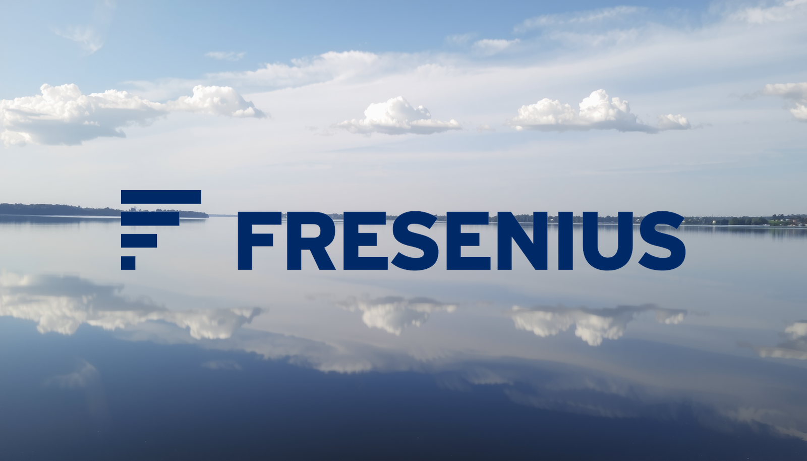 Fresenius SE Aktie